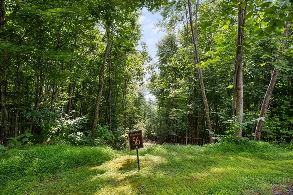 Lot 56 Pinnacle Drive, Elk Park, NC 28622