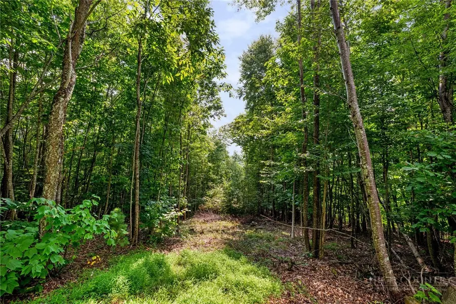 Lot 56 Pinnacle Drive, Elk Park, NC 28622 - #3