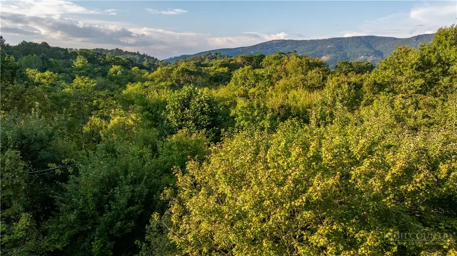 131 Meadowlark Lane, Banner Elk, NC 28604 - #3
