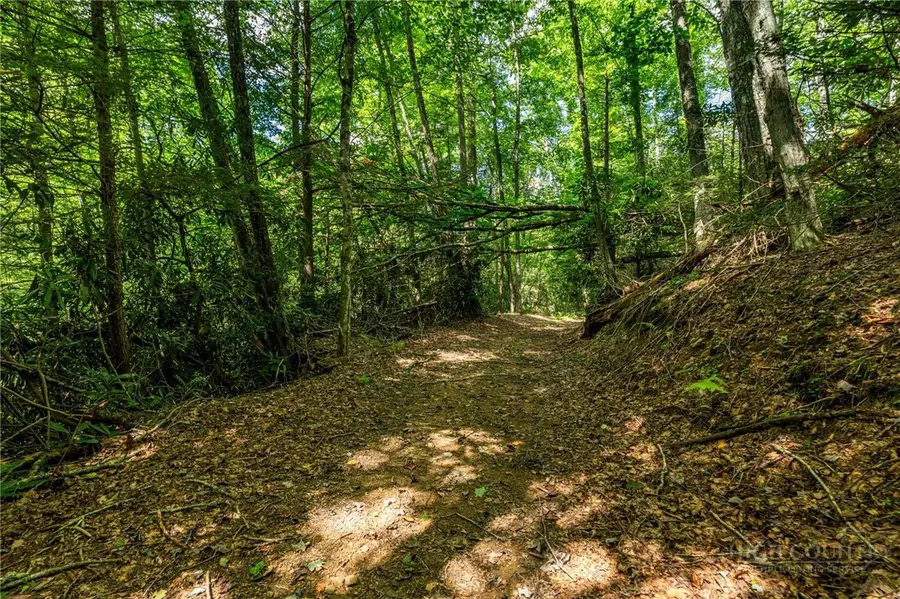 L11 Woodlake Loop, Elk Park, NC 28622 - #3