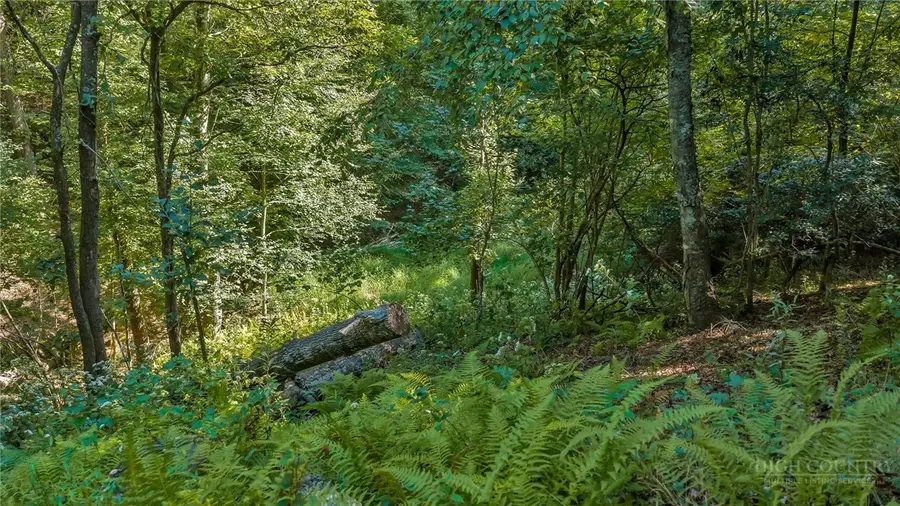 TBD Lot 13 Parkway Pointe Drive, West Jefferson, NC 28694 - #2