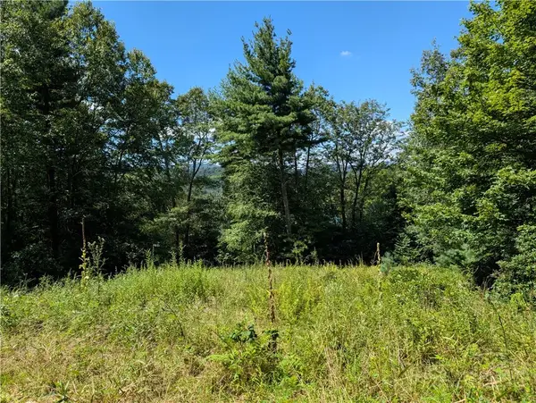 Lot #3 Parkway Pointe Drive, West Jefferson, NC 28694
