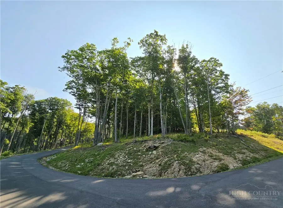131 Eagle Roost, Banner Elk, NC 28604 - #2