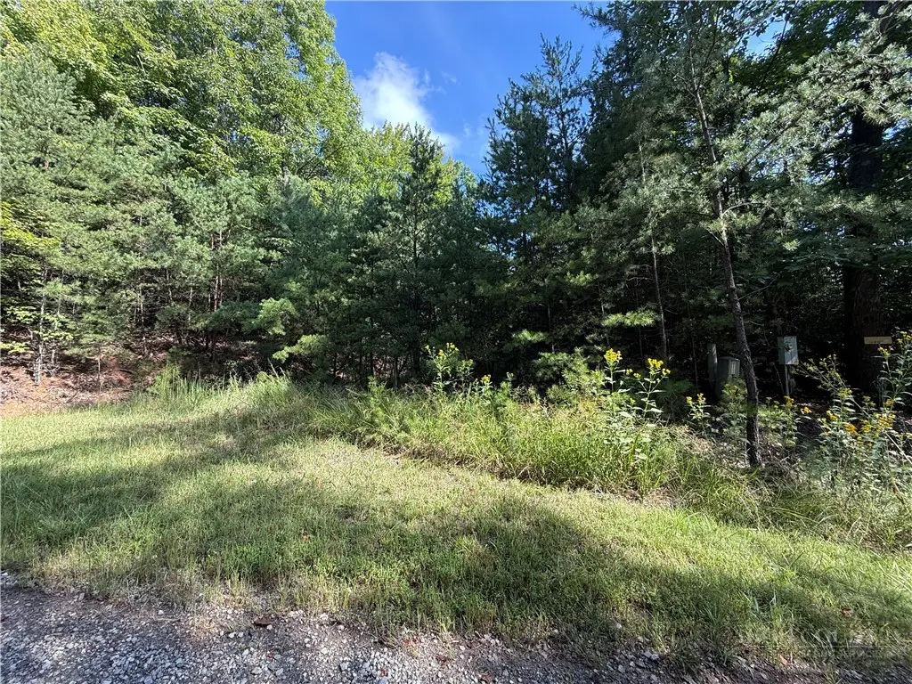 Lot 24 Wolf Pen Road, Purlear, NC 28665 - #1