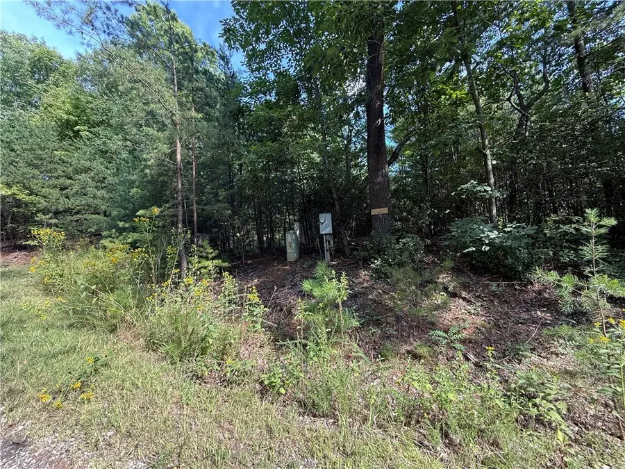 Lot 24 Wolf Pen Road, Purlear, NC 28665 - #2
