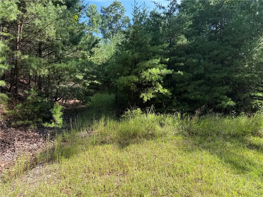 Lot 24 Wolf Pen Road, Purlear, NC 28665 - #3