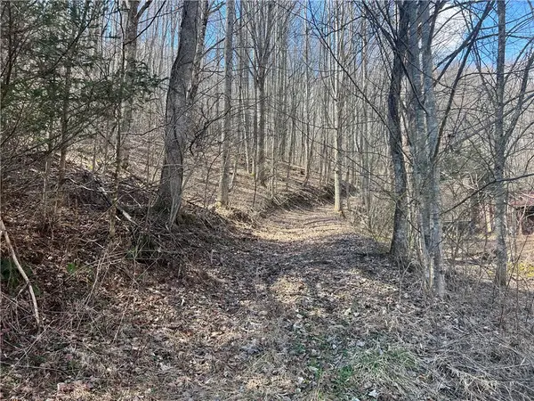 TBD Hart Road, Lansing, NC 28643