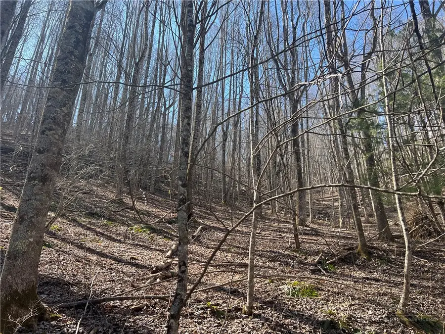TBD Hart Road, Lansing, NC 28643 - #2