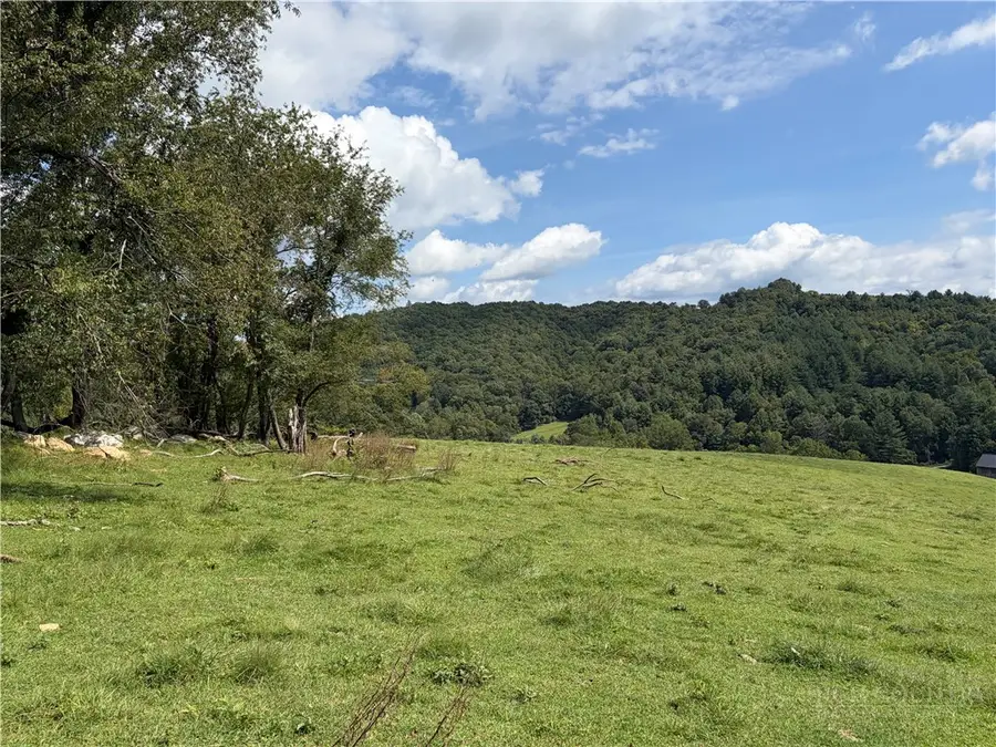 TBD Burnt Hill Road, Laurel Springs, NC 28644 - #2