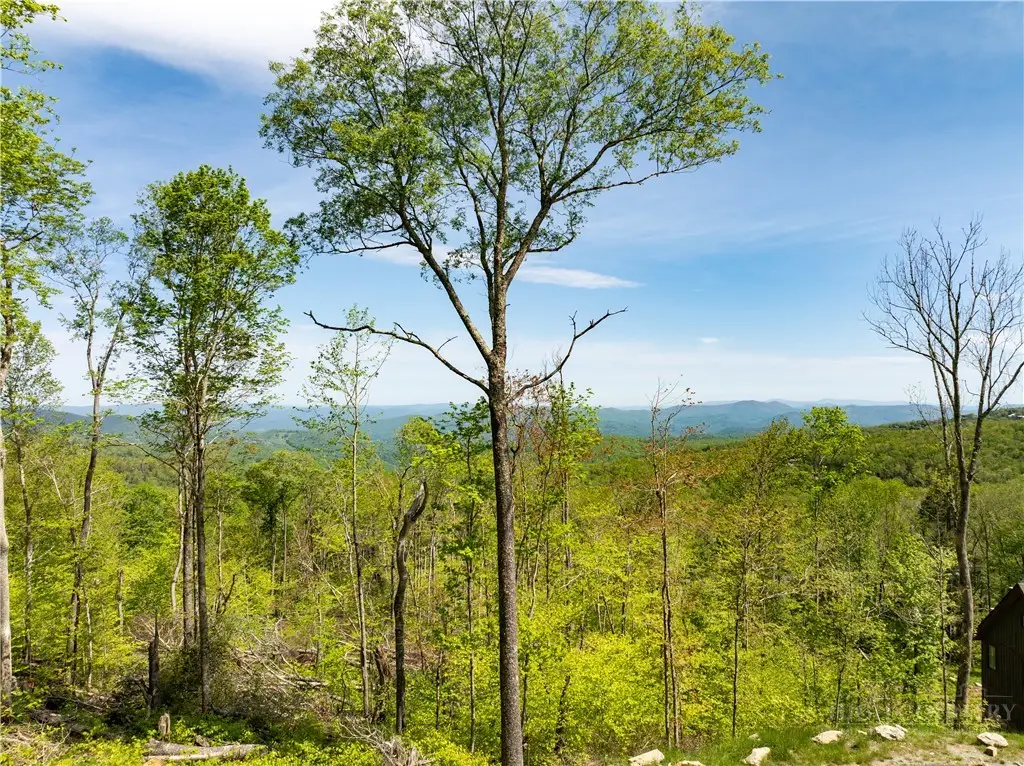 ES76 Lands End Trail, Banner Elk, NC 28604 - #1