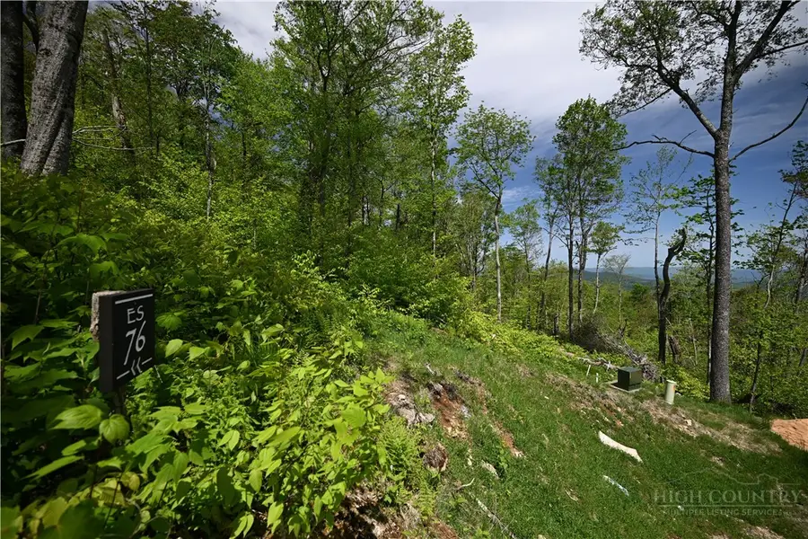 ES76 Lands End Trail, Banner Elk, NC 28604 - #3
