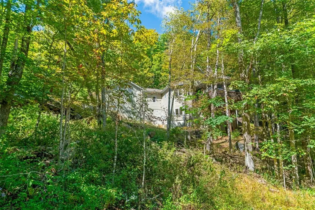 5321 Howards Creek Road, Boone, NC 28607 - #1