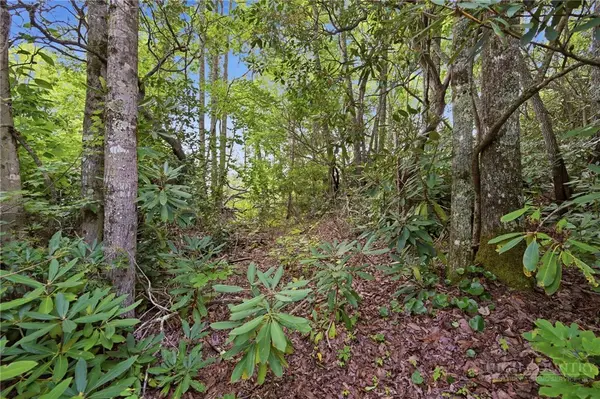 TBD (Lot 60) Raven Ridge Road, Banner Elk, NC 28604