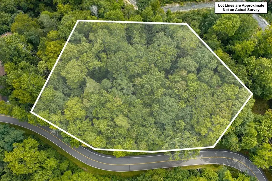 TBD (Lot 60) Raven Ridge Road, Banner Elk, NC 28604 - #2