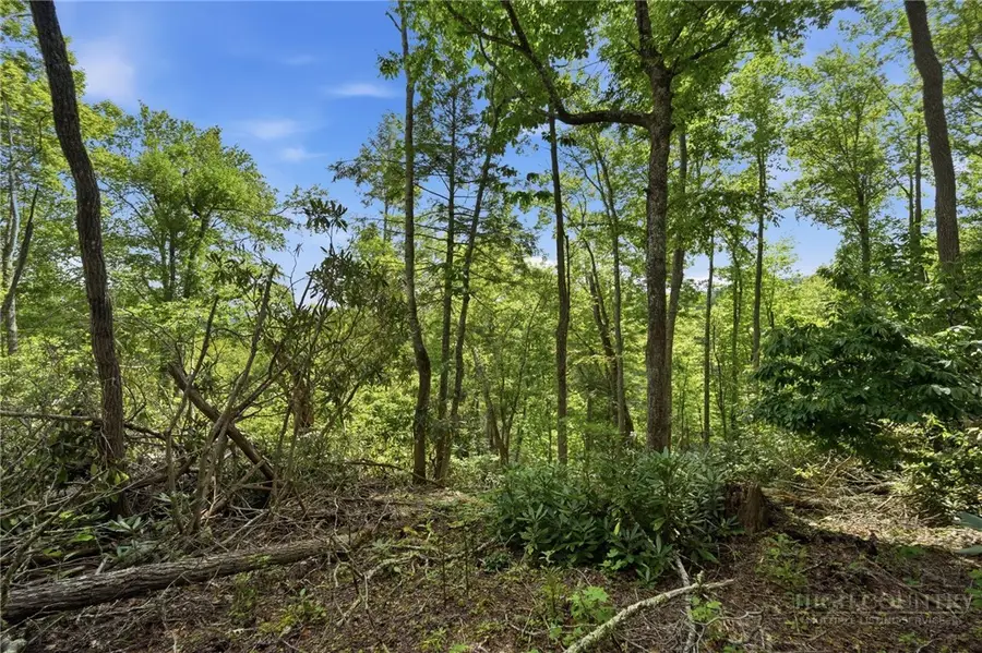 TBD (Lot 60) Raven Ridge Road, Banner Elk, NC 28604 - #3