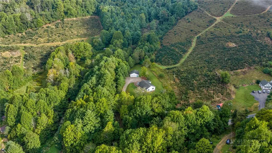 3115 Roaring Fork, Creston, NC 28615 - #2