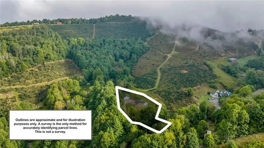 3115 Roaring Fork, Creston, NC 28615 - #3