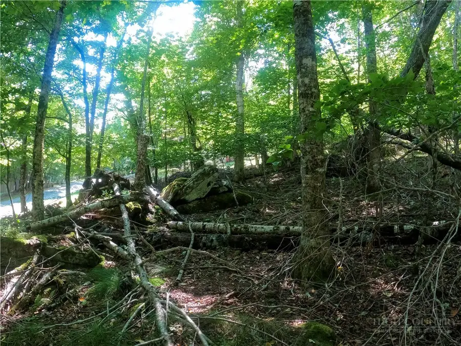 112 Tamarack Road, Beech Mountain, NC 28604 - #3