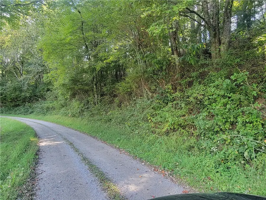 Lot #26 Allen Road, Laurel Springs, NC 28644 - #3