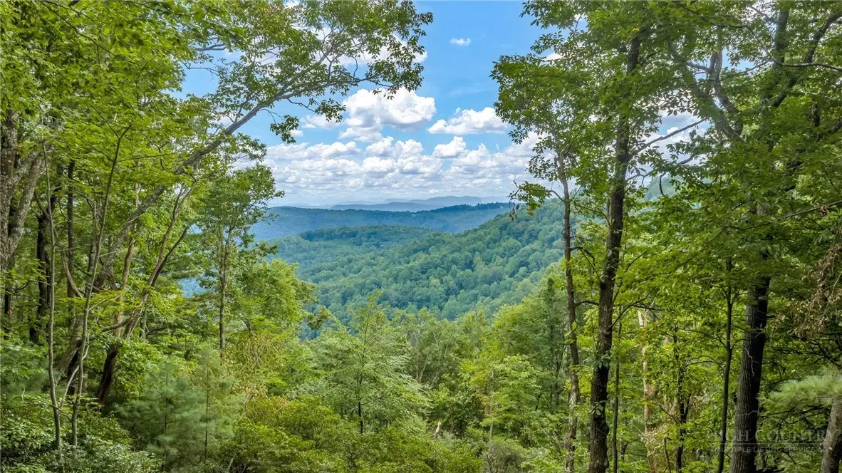 TBD Blue Ridge Church Road, West Jefferson, NC 28694 - #1