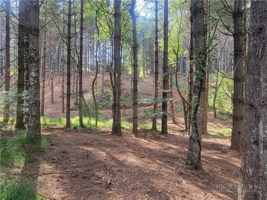 Lot #27 Allen Road, Laurel Springs, NC 28644 - #2
