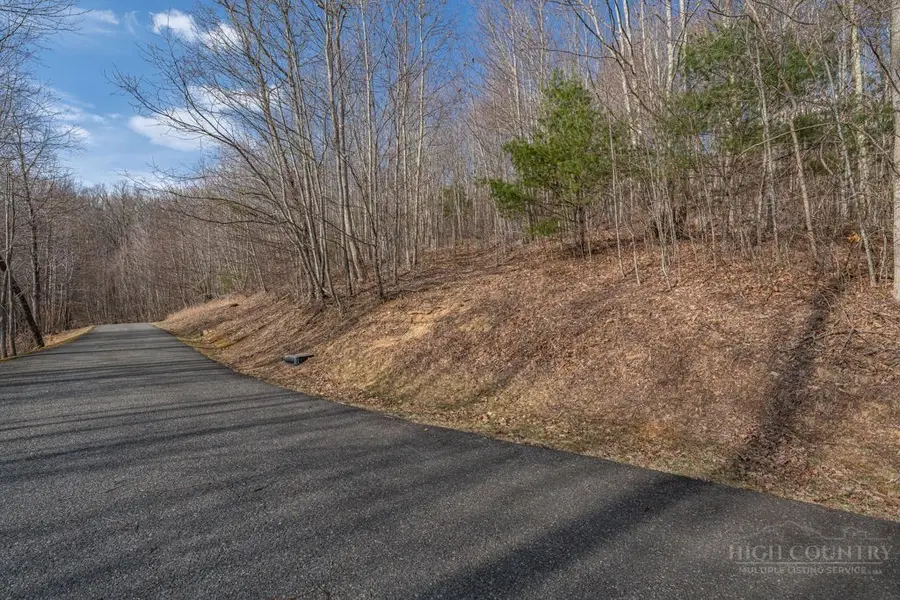 Lot 52 Pinnacle Drive, Elk Park, NC 28622 - #2