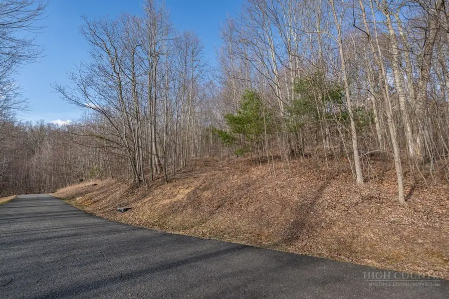 Lot 52 Pinnacle Drive, Elk Park, NC 28622 - #3