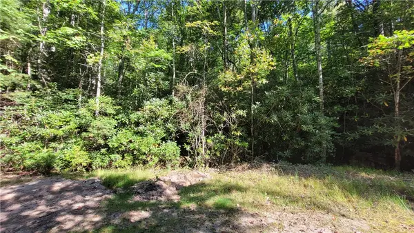 105 Chipmunk Lane, Beech Mountain, NC 28604