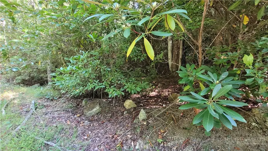 105 Chipmunk Lane, Beech Mountain, NC 28604 - #2