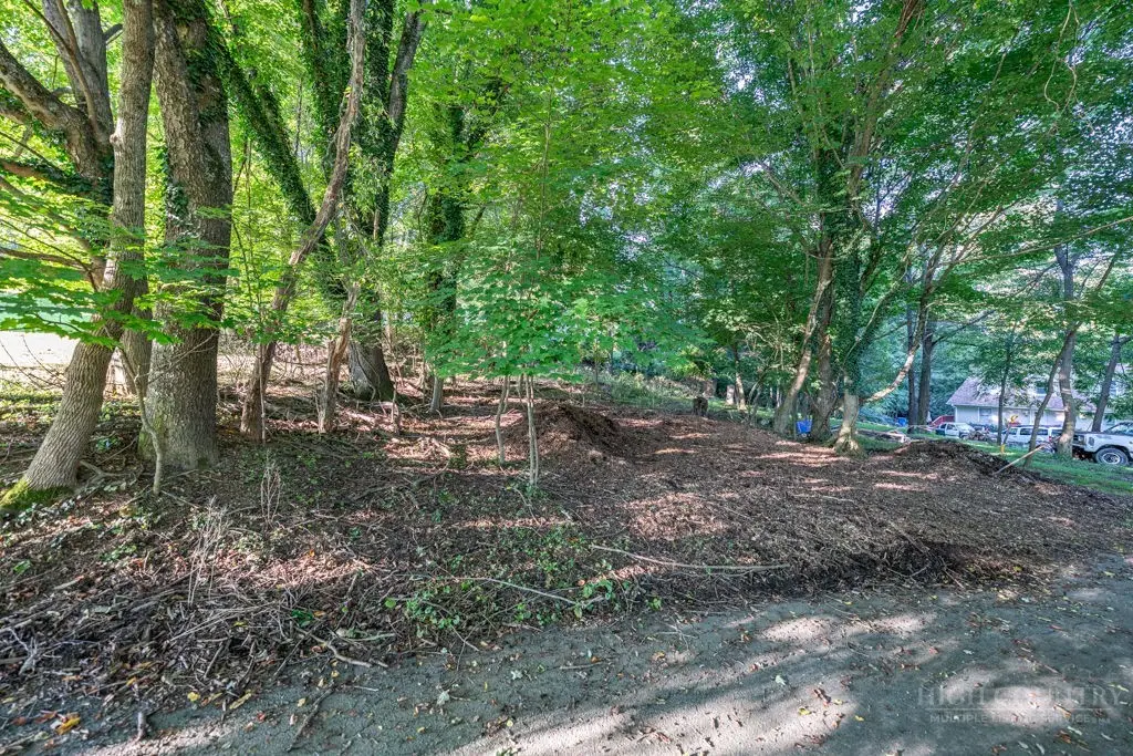 TBD Bingham Street, Boone, NC 28607 - #1