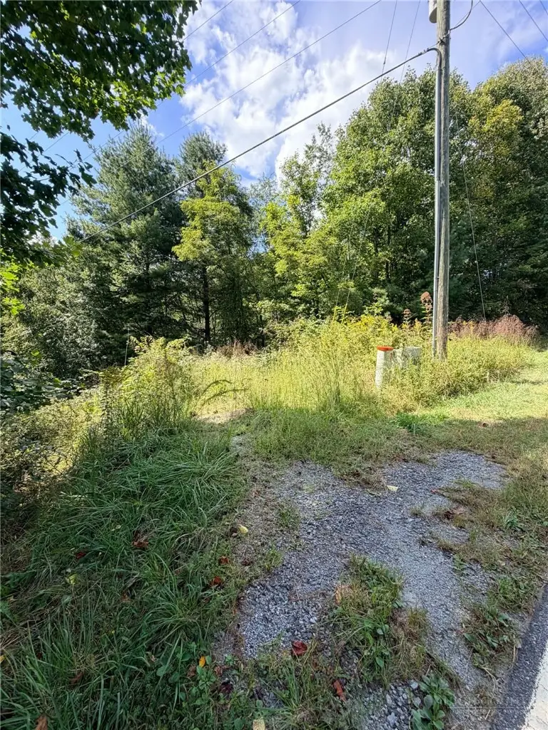 101 Pleasant Home, Sparta, NC 28675 - #1