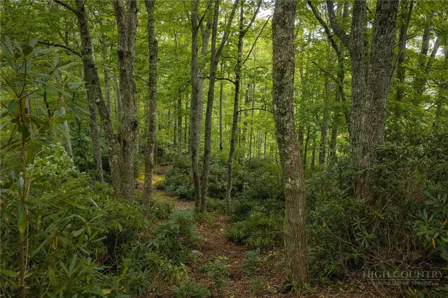 Lot 3 Fieldstone Heights Drive, Blowing Rock, NC 28605 - #2
