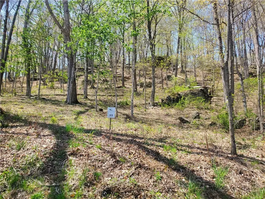 Lot 35 Soothing Waters Drive, Todd, NC 28684 - #3