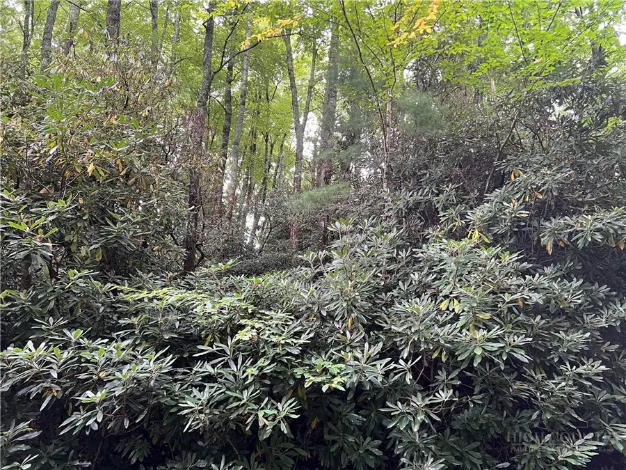 Lots 22 & 23 High Ridge Lane, Blowing Rock, NC 28605 - #2