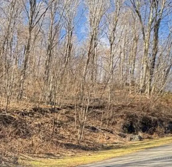 Lot 32 Jewel Weed Trail, Newland, NC 28657