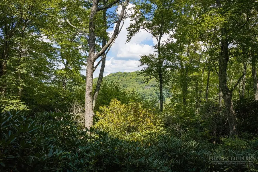 Lot 4 Fieldstone Heights Drive, Blowing Rock, NC 28605 - #2