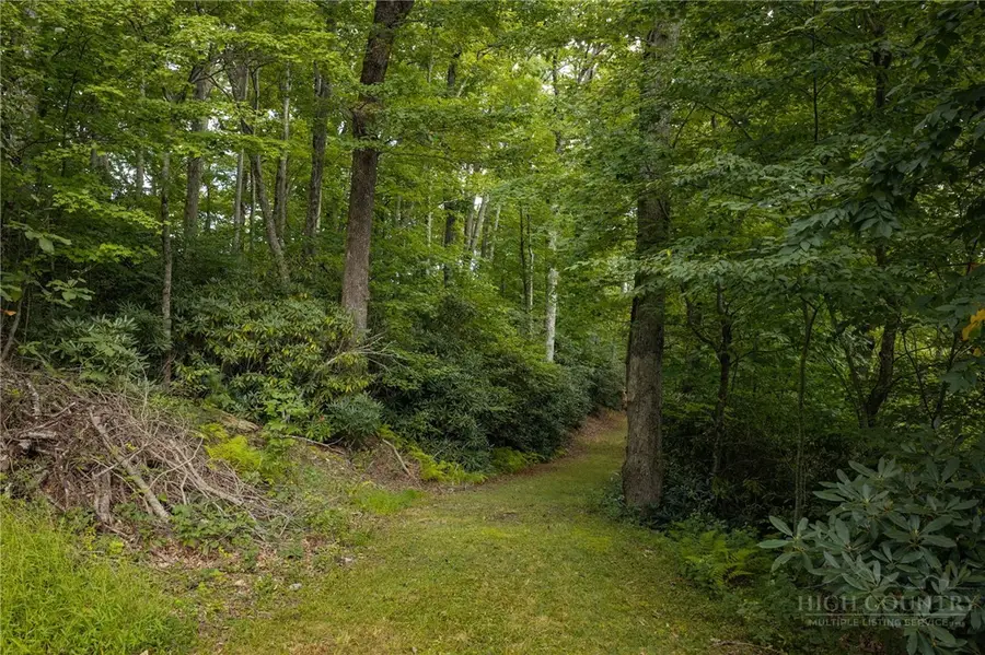 Lot 1 Fieldstone Heights Drive, Blowing Rock, NC 28605 - #2