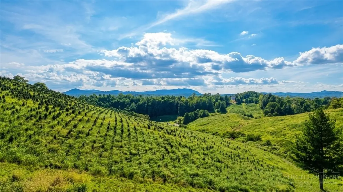 1 Topia Road, Piney Creek, NC 28663 - #1