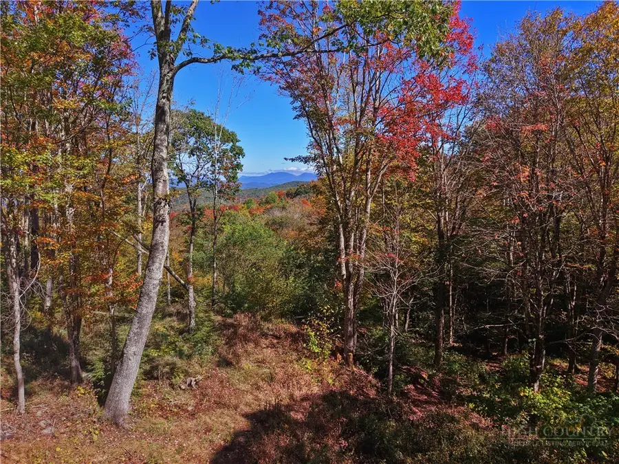 N-79 Eagles Nest Trail, Banner Elk, NC 28604 - #2