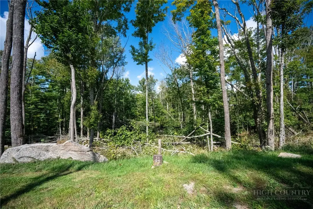 ES94 Twisted Oak Path, Banner Elk, NC 28604 - #1