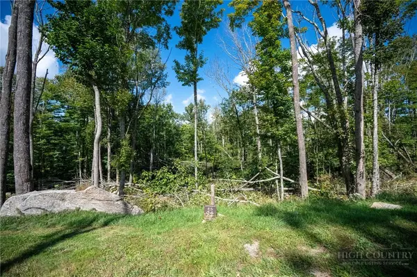 ES94 Twisted Oak Path, Banner Elk, NC 28604