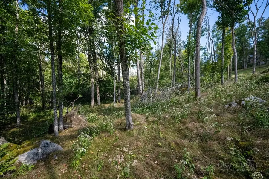 ES94 Twisted Oak Path, Banner Elk, NC 28604 - #2
