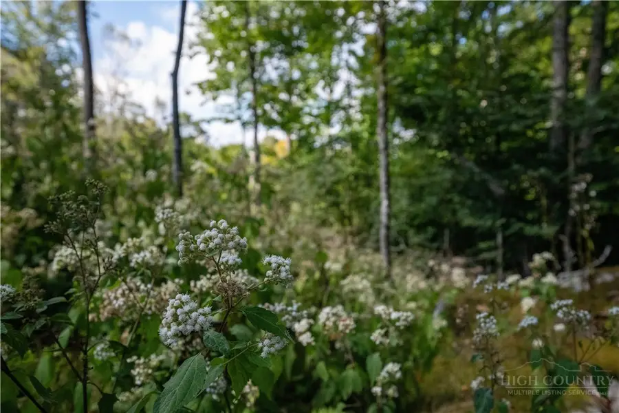 ES94 Twisted Oak Path, Banner Elk, NC 28604 - #3