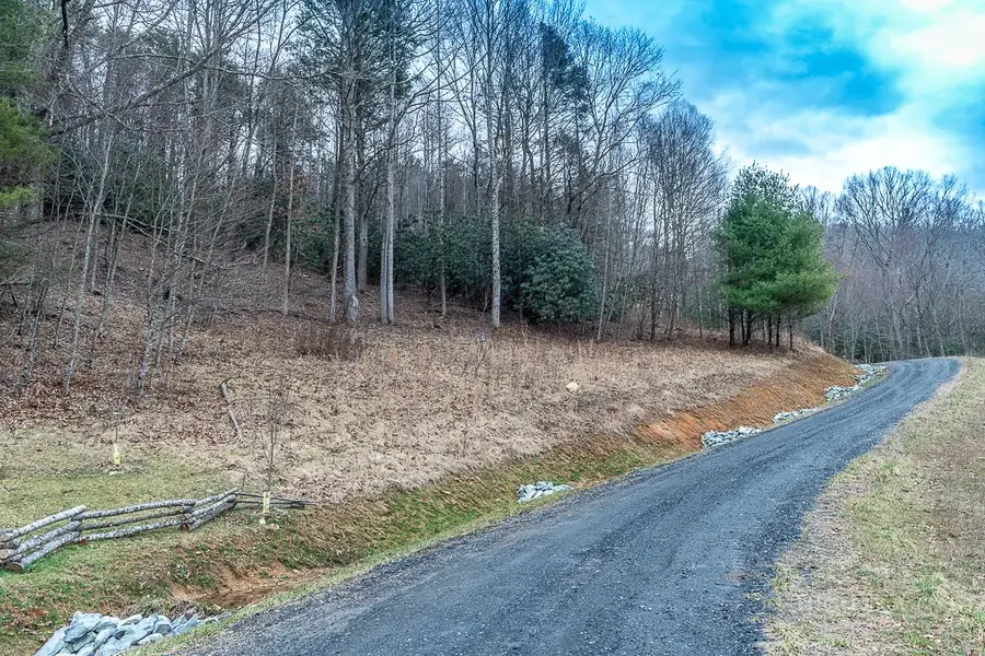 TBD River Valley Overlook, Elk Park, NC 28622 - #3
