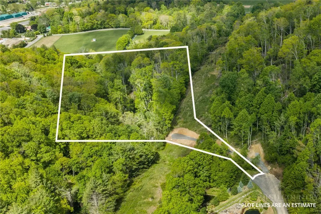 Lot 45 Silver Springs Drive, Banner Elk, NC 28604 - #1