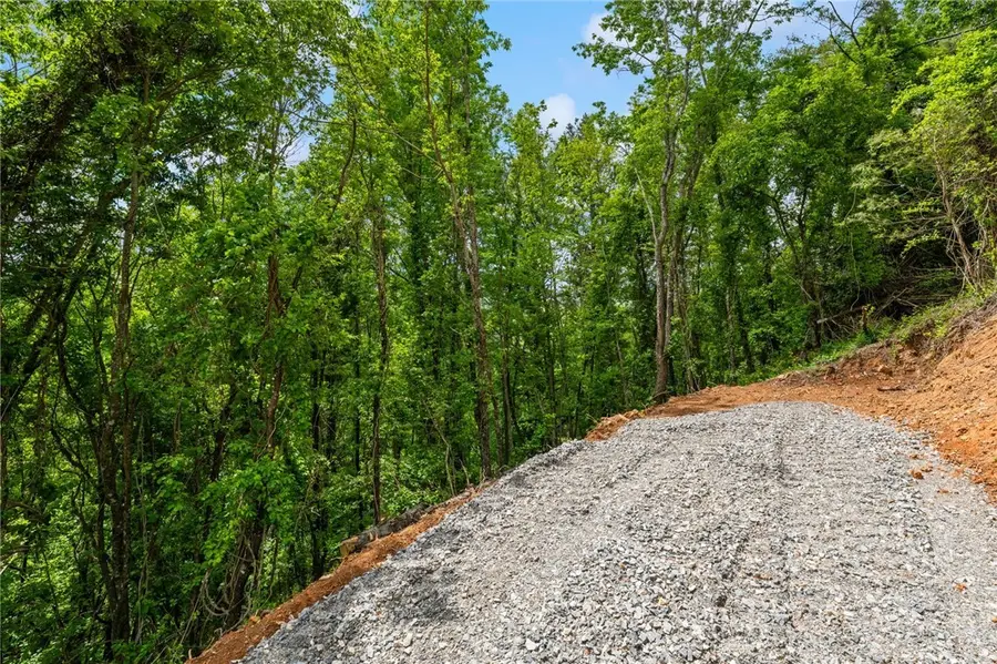 Lots 56 and 57 Silver Springs Farm Road, Banner Elk, NC 28604 - #2
