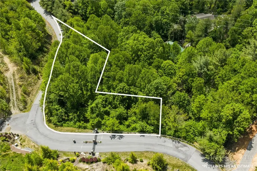 Lots 56 and 57 Silver Springs Farm Road, Banner Elk, NC 28604 - #3