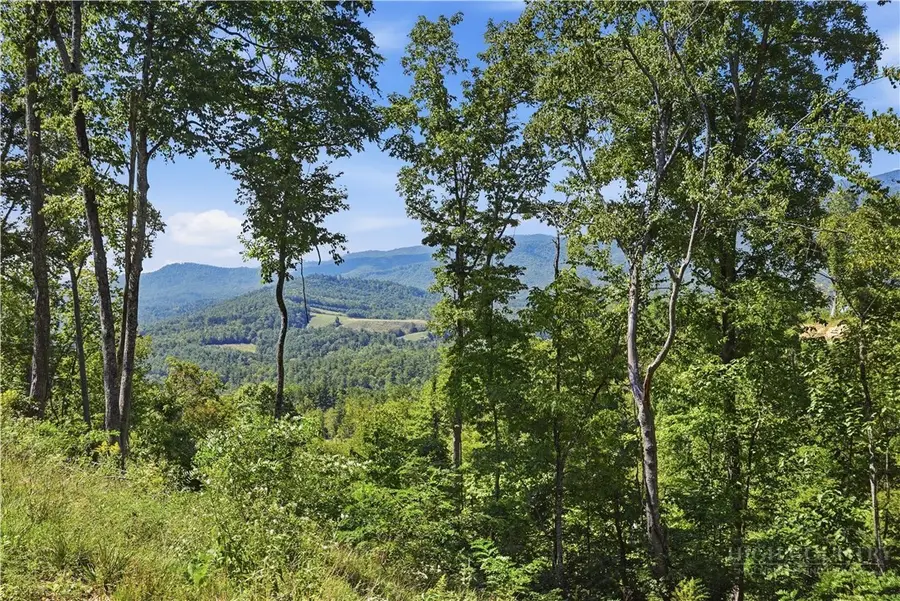 Lot 39 Mt. Mitchell Overlook, Newland, NC 28657 - #2