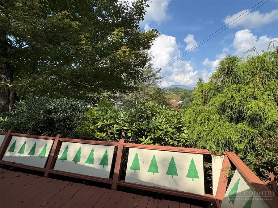16 Wineberry Lane, Newland, NC 28657 - #3