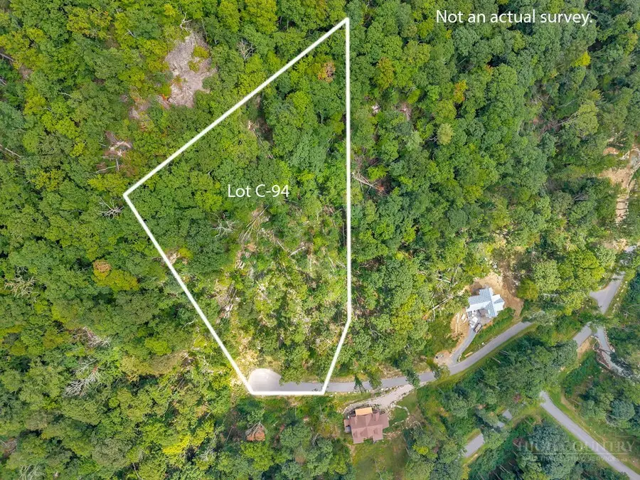 Lot C-94 Foxfire Road, Banner Elk, NC 28604 - #3
